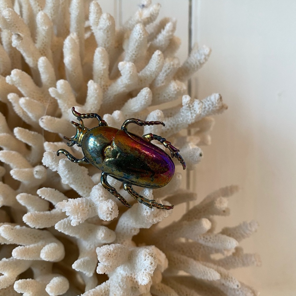 Metallic beetle broach pin